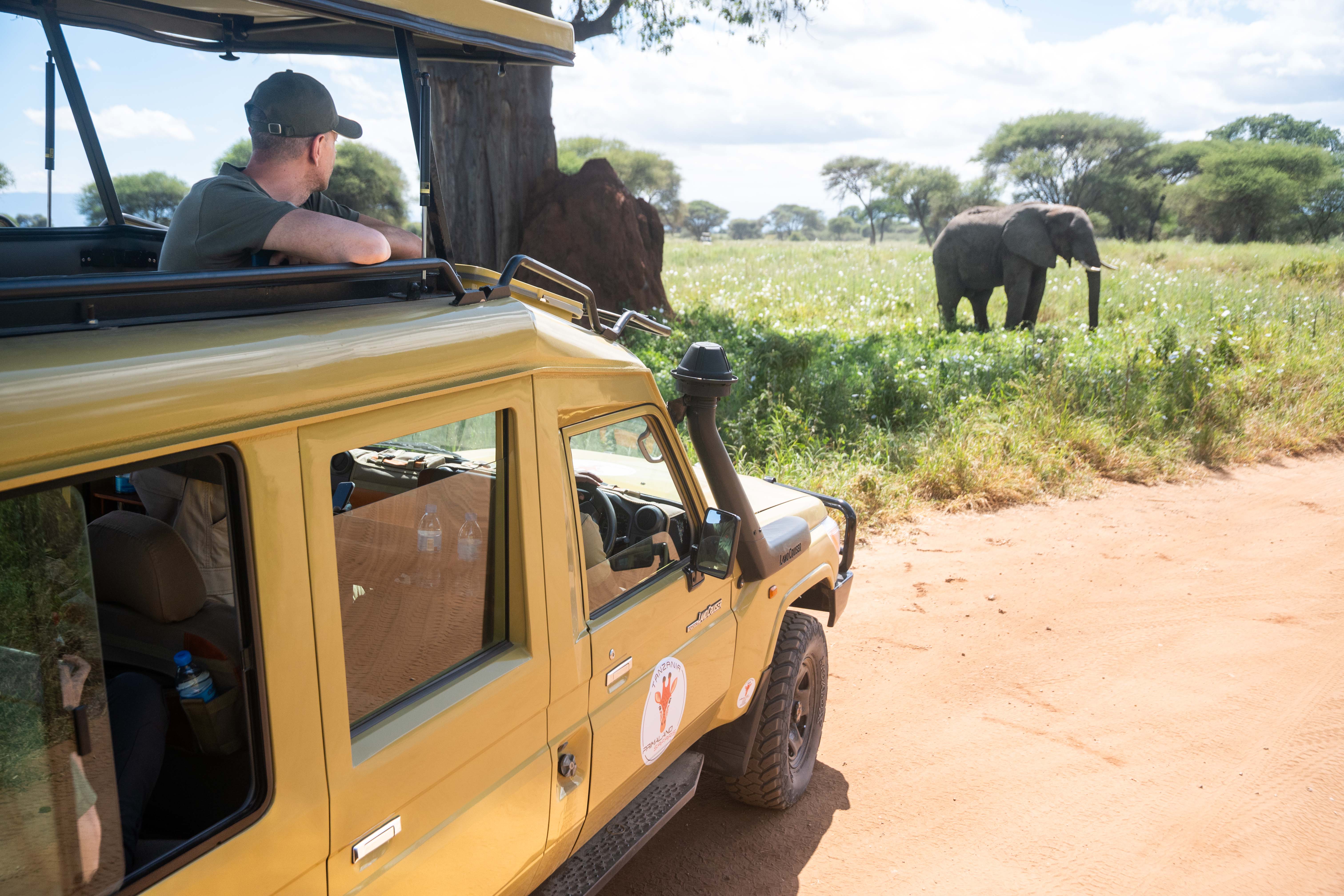 Ospite Primaland osserva un elefante da un Land Cruiser durante il safari