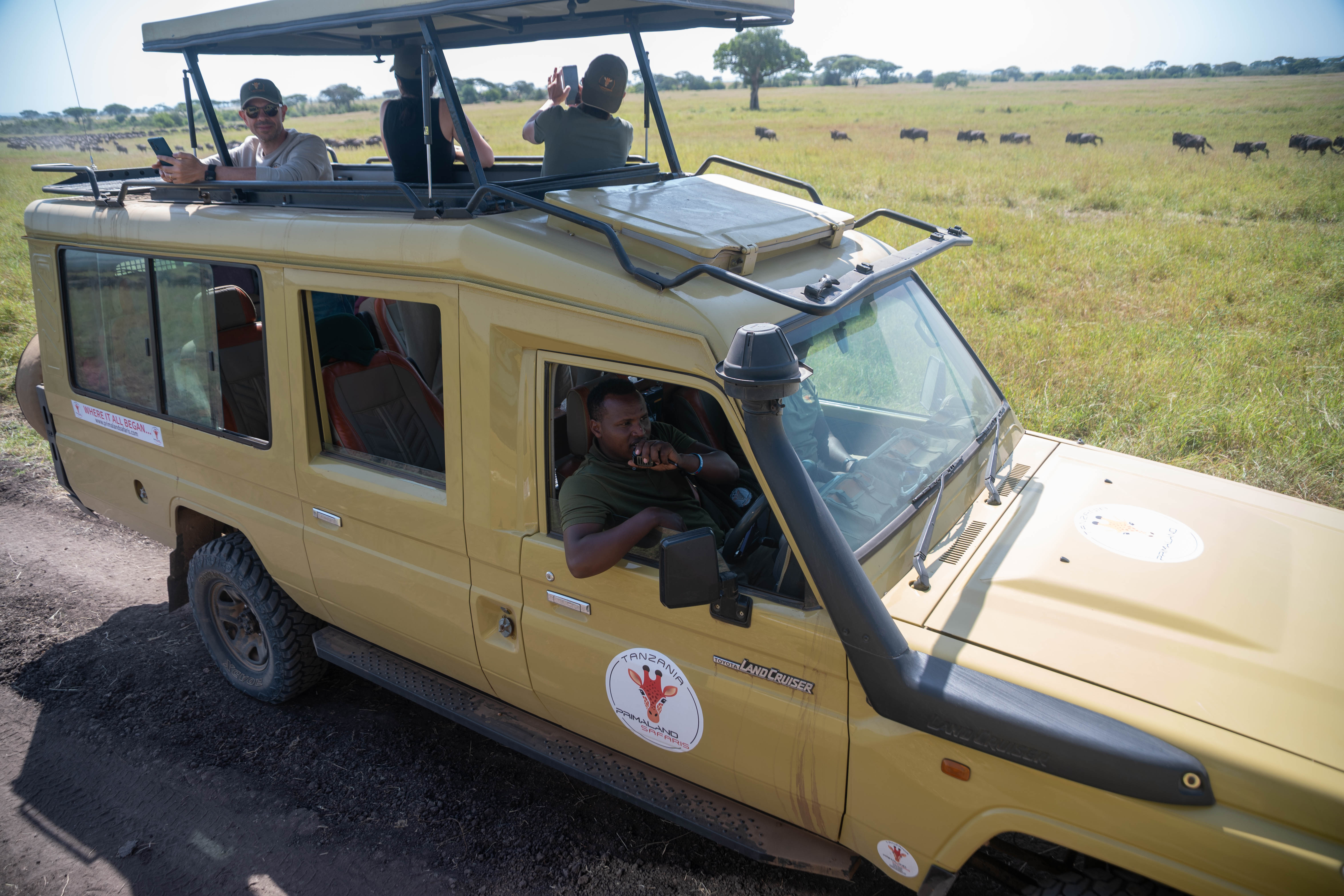 Land Cruiser Primaland davanti a una mandria in migrazione